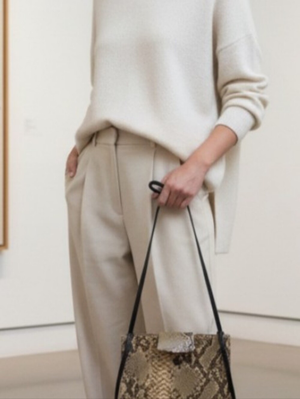 Vintage 90s Classiques Entier Python Leather Bag - Rare